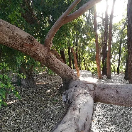 Ventana Al Mar Apartman Torrevieja