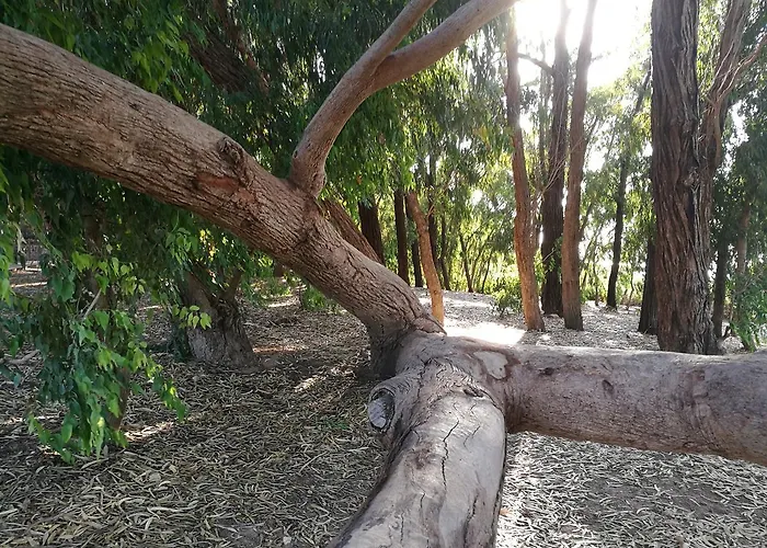 Ventana Al Mar Apartamento Torrevieja